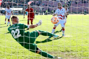 TVITOVI - Brojna pitanja Zvezdinih navijača, šta bi bilo da se sad igra derbi i još mnogo toga...